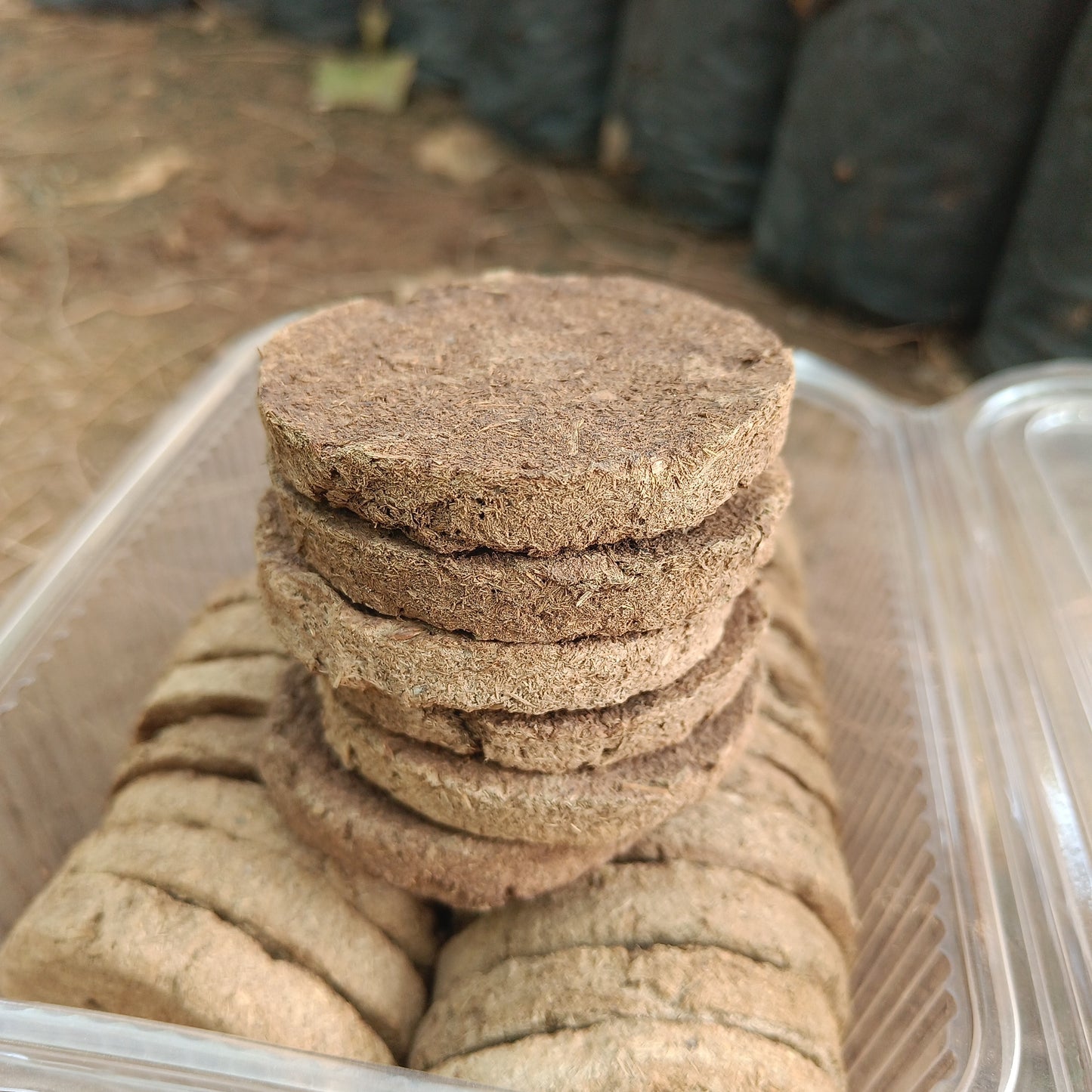 Plant growth biscuits pack of 25 ЁЯлУ