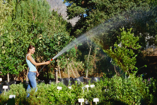 Maintaining and Cleaning Your Watering Spray Gun: A Complete Guide