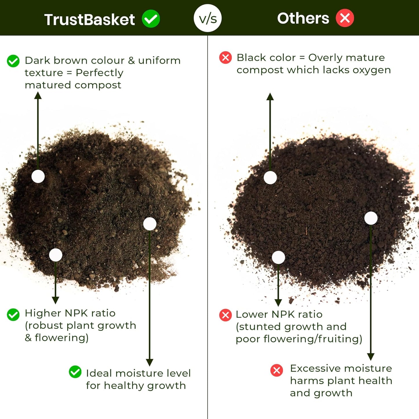 Organic Vermi Compost