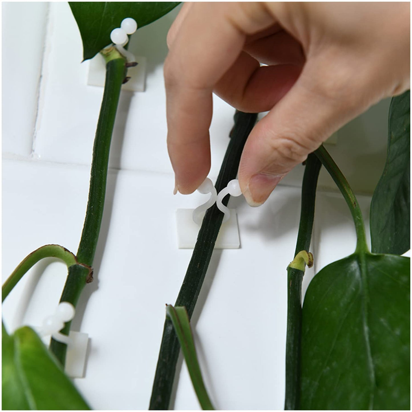 PlantSecure Clips