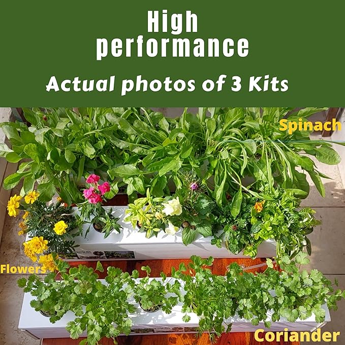 Hydroponic Kit