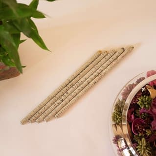 ECO FRIENDLY PAPER RECYCLED PLANTABLE SEED PENCIL