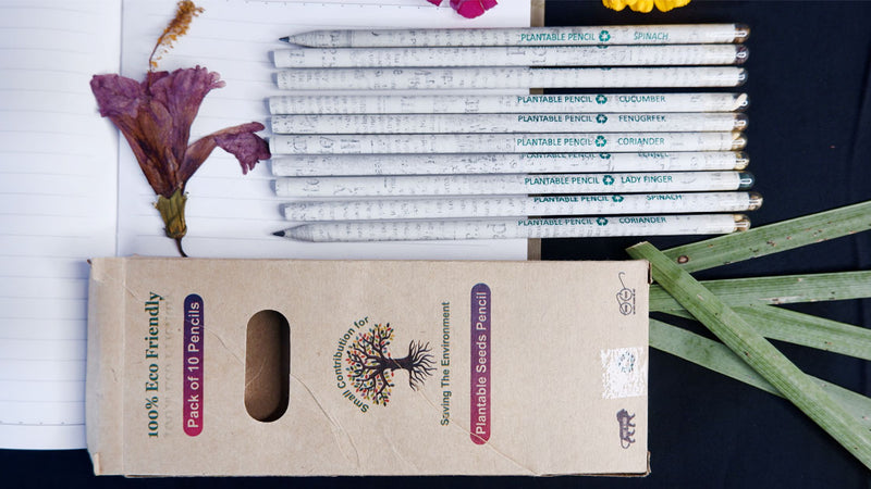 ECO FRIENDLY PAPER RECYCLED PLANTABLE SEED PENCIL