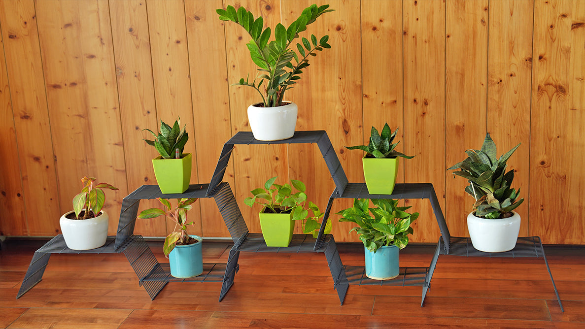 Large Modular Plant Stand for 4 Pots