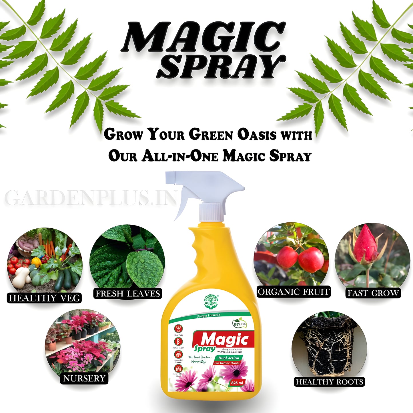 Magic Spray