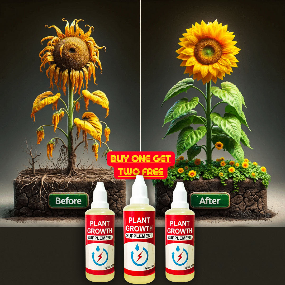 Plant Growth Supplement + 45 Types Flower Seeds Combo