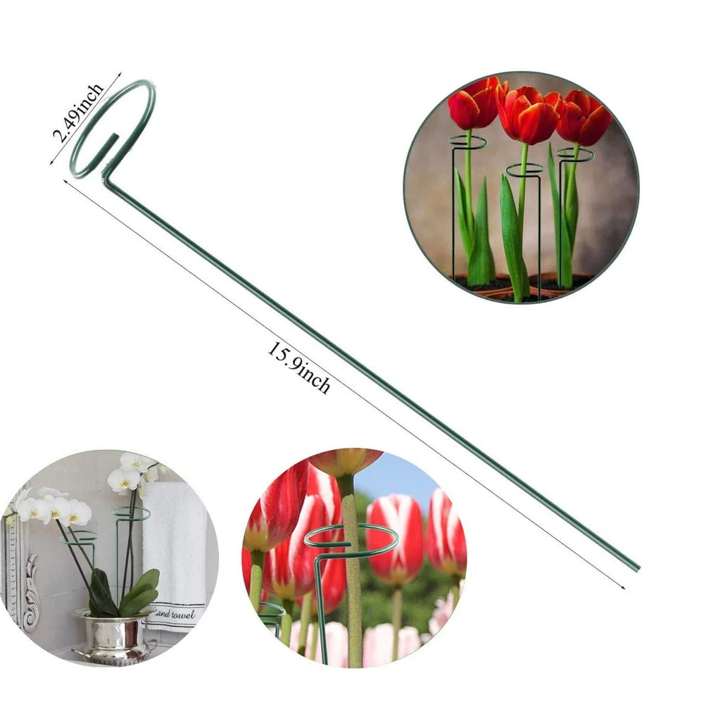 Metal Plant Stakes( Pack of 12) Plant Support