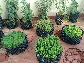 Air Pots