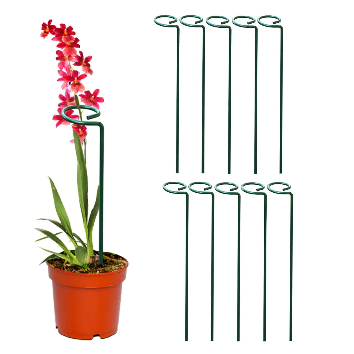 Metal Plant Stakes( Pack of 12) Plant Support