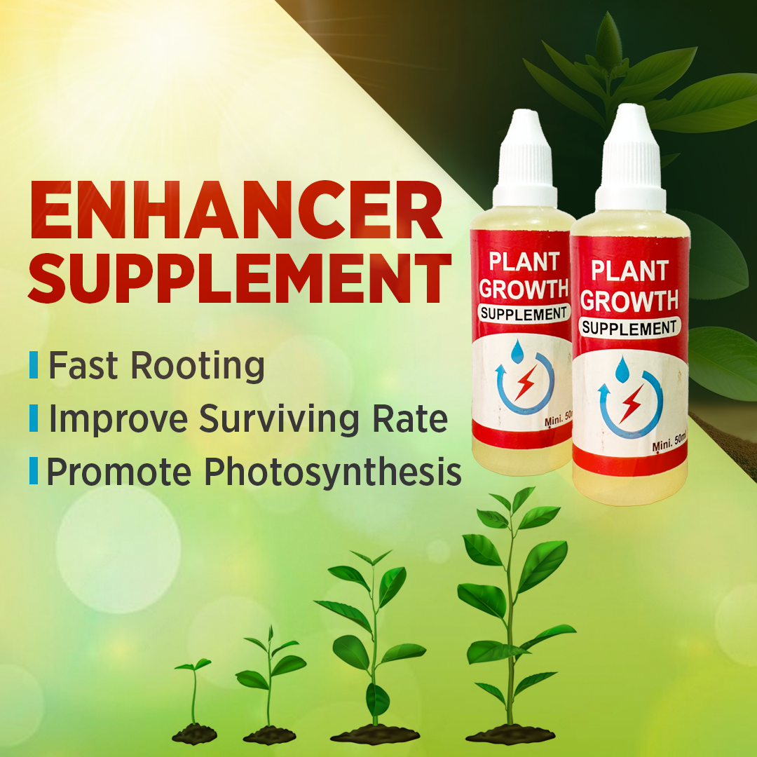 Plant Growth Supplement + Vegetables Seeds Combo